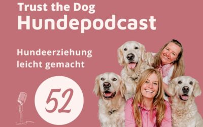 #52 Hundeerziehung leicht gemacht