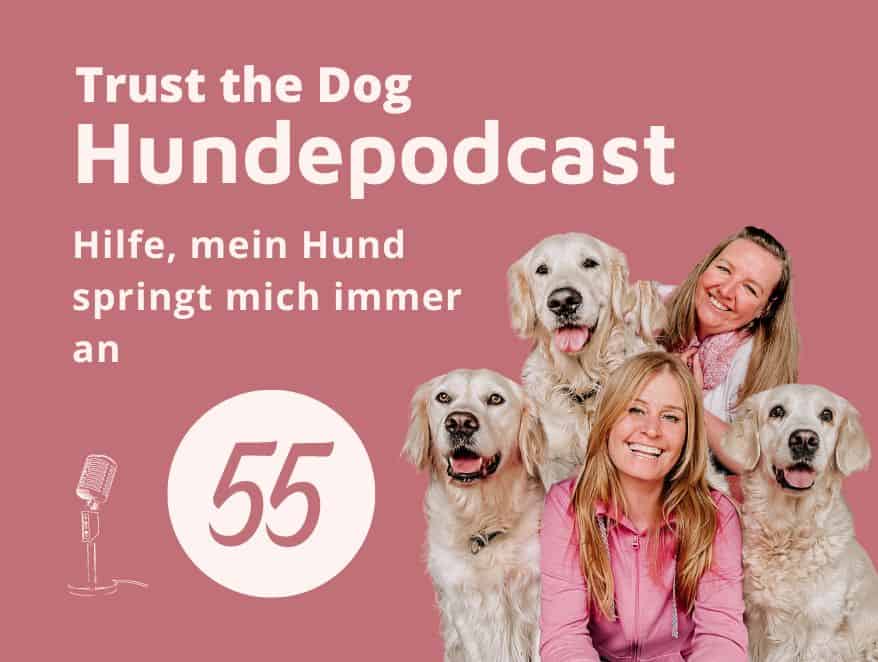 #55 Positives Hundetraining