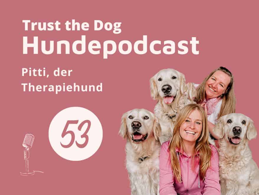 #53 Pitti der Therapiehund