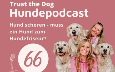 #66 Hund scheren – muss ein Hund zum Hundefriseur?