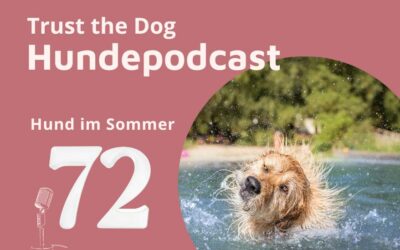 #72 Hund im Sommer – Die besten Tipps für ein tolle Sommerzeit