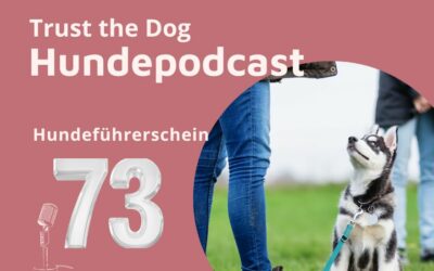 #73 Hundeführerschein – die wichtigsten Infos