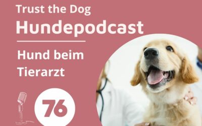 #76 Hund beim Tierarzt – Der ultimative Leitfaden zur Vorbereitung deines Hundes auf einen Tierarztbesuch