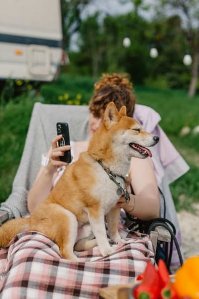 Podcast Episode Camping mit Hund die richtige Campingausrüstung