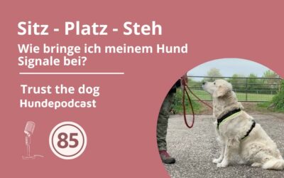 #85 Sitz-Platz-Steh – Wie bringe ich meinem Hund Signale bei?