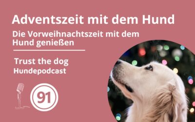 #91 Adventszeit mit Hund – So könnt ihr sie genießen