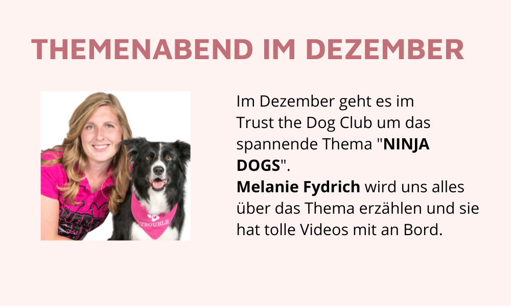 Onlineclub, Hundeclub, Onlinehundeschule, Onlinehundetraining