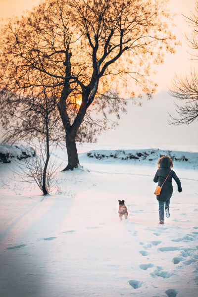 Nutze die Adventszeit mit deinem Hund auch für ausgedehnte Spaziergänge