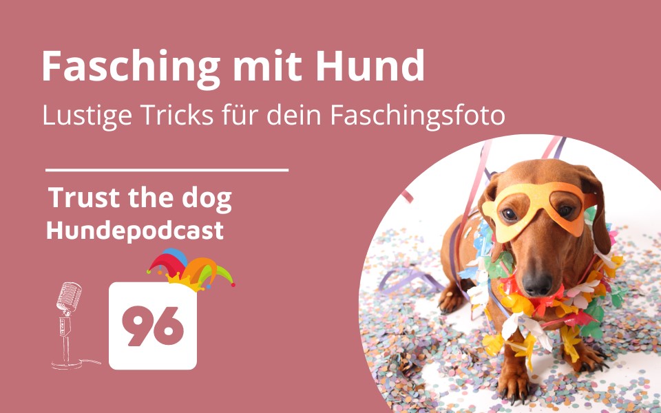 #96 Fasching mit Hund