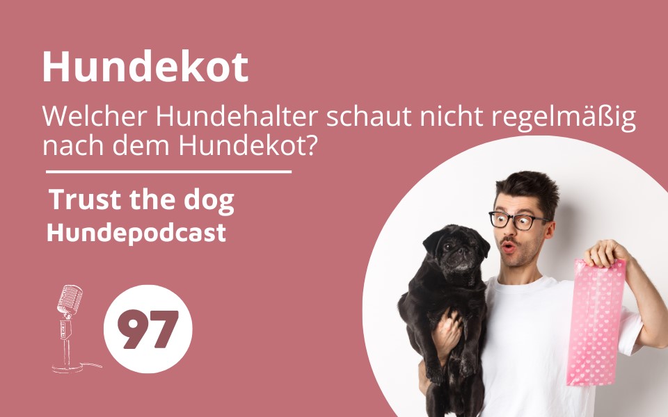 #97 Hundekot