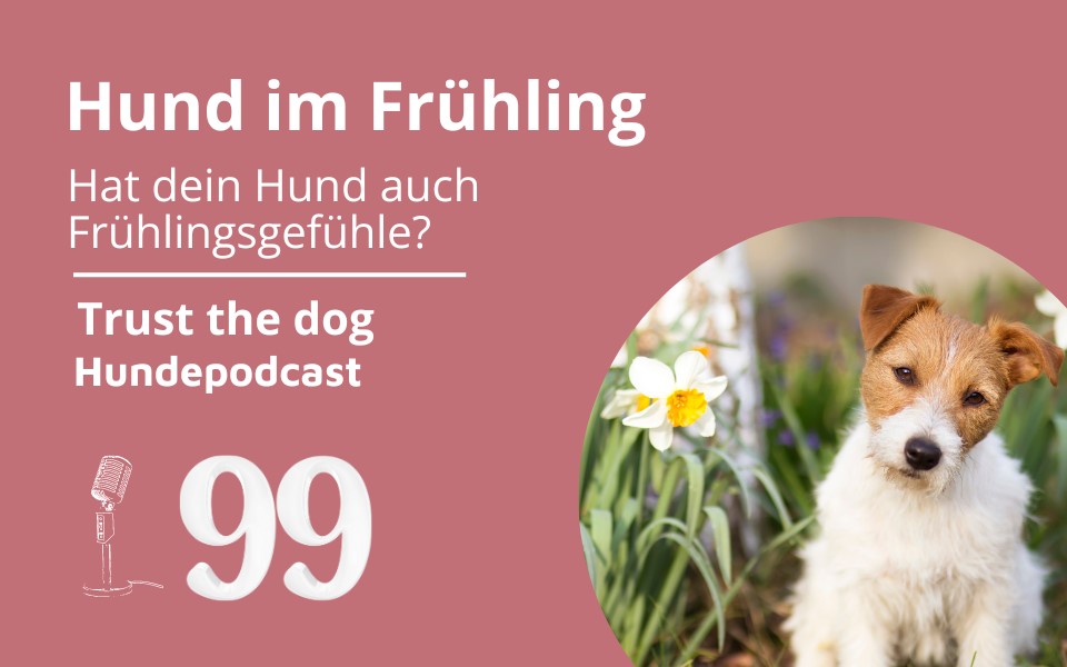 #99 Hund im Frühling