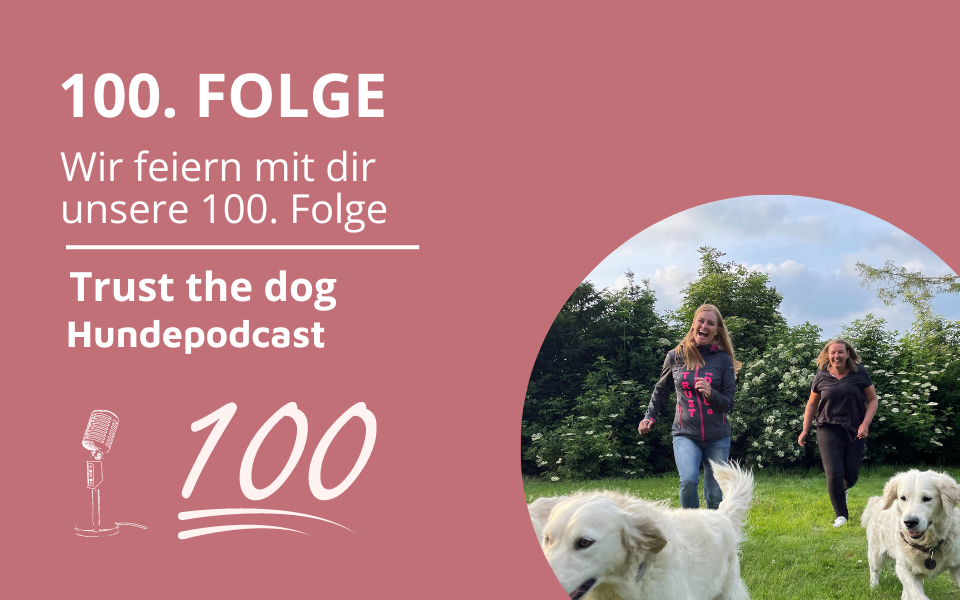 Geburtstagsfolge – 100. Folge