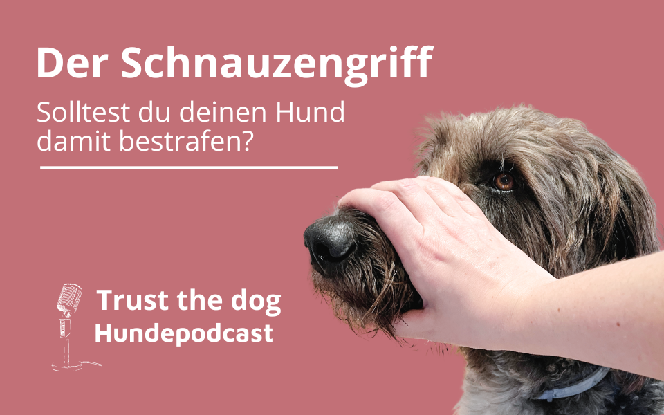 Schnauzengriff, Den Hund bestrafen, ohne Strafe hundeerziehung