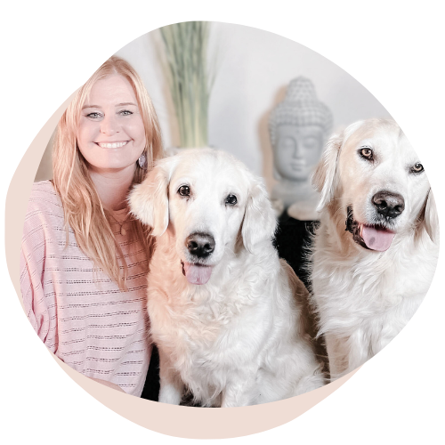 Onlinehundeschule, Onlinehundetraining, Hundeschule, Hundetraining, Trust the dog, Claudia Pauliks, Online Hundeclub