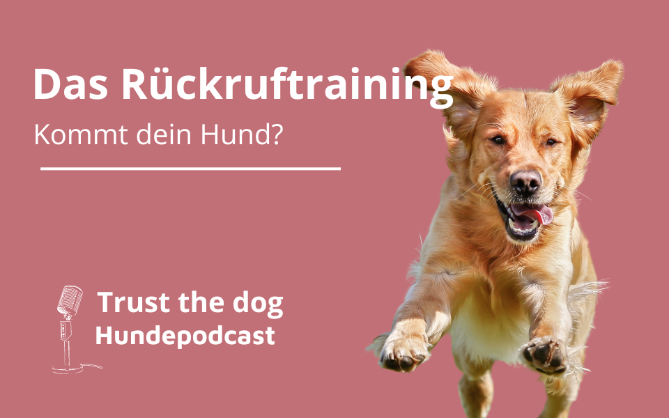 Das Rückruftraining