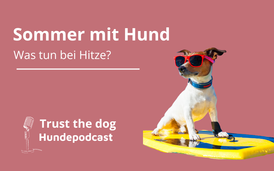 Sommer mit Hund