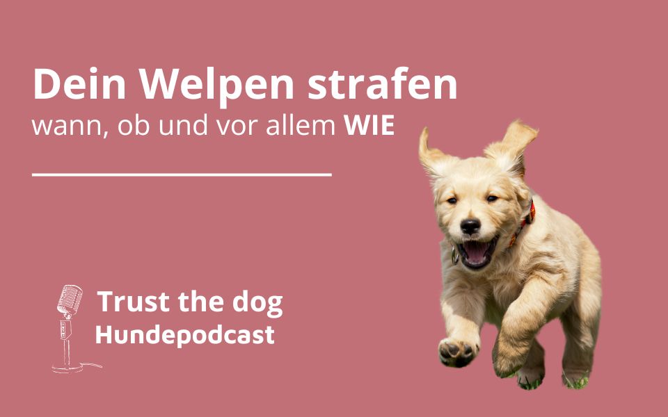 Den Welpen strafen