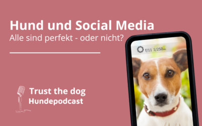 Hund und Social Media