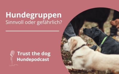 Hundegruppen