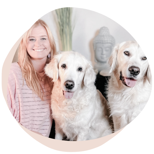 Hundeschule-hundetraining-Hundeerziehung-leicht-gemacht-Trust-the-dog-club-Claudia-Pauliks-Online-Kurs-Junghundekurs Welpentraining, Welpentipps, Online Welpenschule