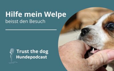 Welpe und Besuch