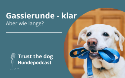 Welpen Spaziergang – So viel Bewegung ist wirklich gesund