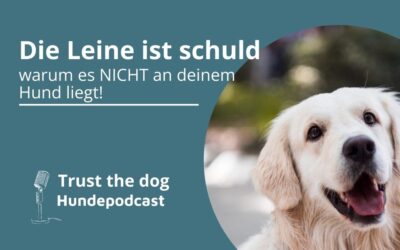 Die Leine ist schuld?!