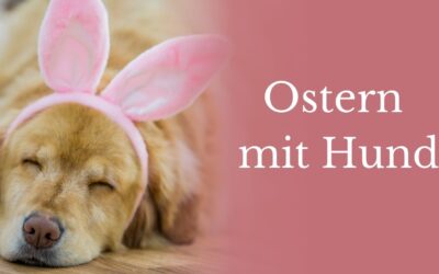 Ostern mit Hund: Wie du stressfrei in den Frühling startest