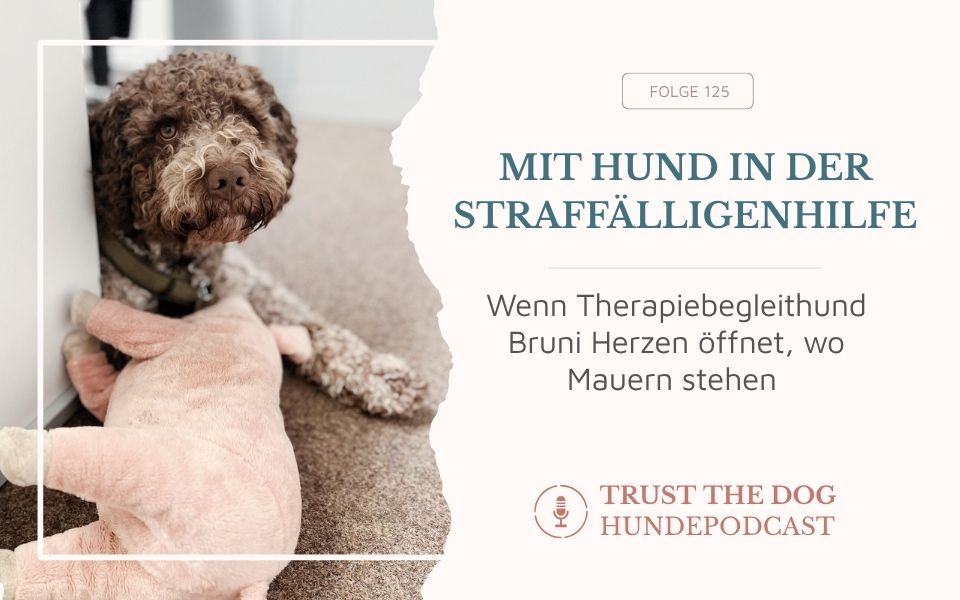 Therapiebegleithund Bruni