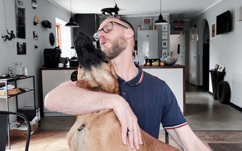 Hund mit einem Menschen. Körpersprache des Hundes.