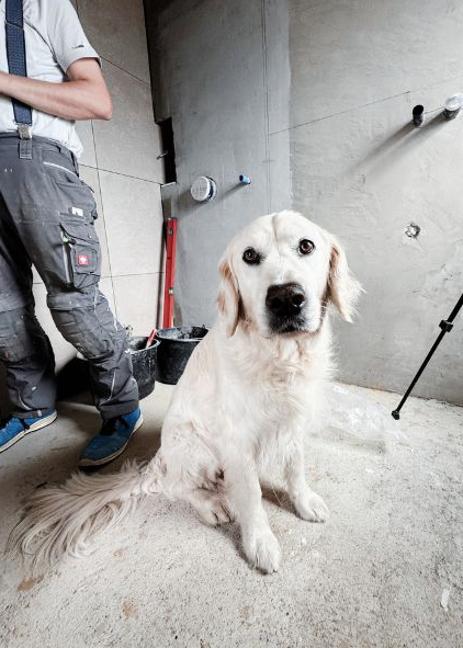 Beitragsbild Podcast Homepage - 98. Die lockere Leine Hund mit einem Handwerker