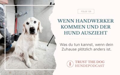 Wenn Handwerker kommen und der Hund auszieht